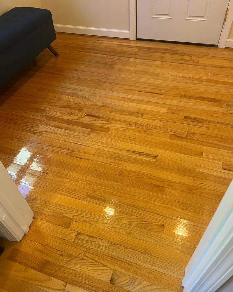 deep-cleaning-5